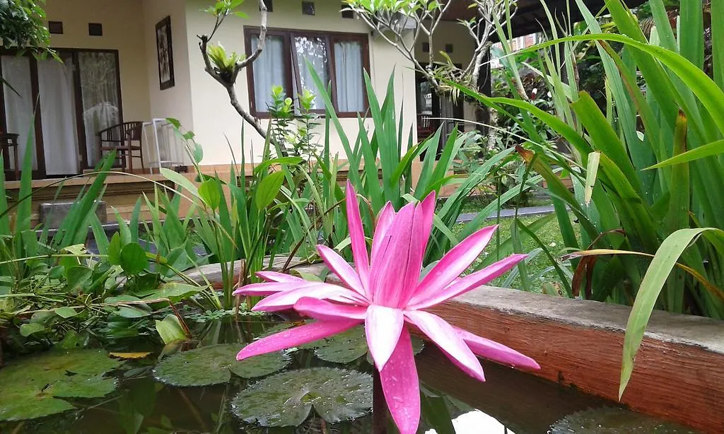 Gangga House Hotel Ubud 0*,